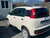 Usata Fiat Panda 70 CV (51 kW) 2013 Bianco Utilitaria