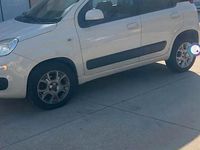 Usata Fiat Panda 85 CV (62 kW) 2014 Berlina
