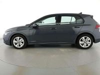 Usata VW Golf VIII Life 116 CV (85 kW) 2023 Dolphin grey Berlina