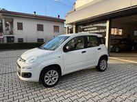 Usata Fiat Panda Easy 71 CV (52 kW) 2020 Bianco Utilitaria