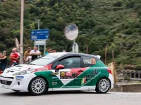 Usata Peugeot 207 2004