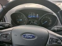 Usata Ford C-MAX Titanium S 95 CV (69 kW) 2019 Monovolume