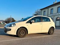 Usata Fiat Punto Evo Active 69 CV (50 kW) 2009 Bianco Utilitaria