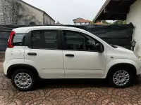 Usata Fiat Panda S 69 CV (50 kW) 2024 Utilitaria