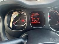 Usata Fiat Panda Cross Cross 2019 Verde Utilitaria