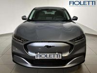 Usata Ford Mustang 136 CV (100 kW) 2023 Blu/azzurro Station wagon