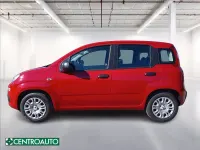 Usata Fiat Panda S 70 CV (51 kW) 2025 Rosso pastello Utilitaria