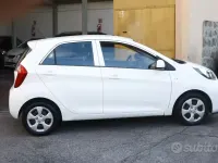 Usata Kia Picanto City 67 CV (49 kW) 2016 Bianco Utilitaria