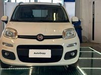 usata Fiat Panda 1.3 MJT S&S Easy del 2014 usata a Reggio nell'Emilia