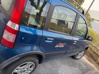 Usata Fiat Panda 4x4 2003 Utilitaria