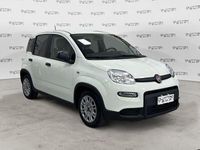 Usata Fiat Panda S 69 CV (50 kW) 2023 Bianco Utilitaria