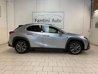 Usata Lexus UX 250h Sport Line 152 CV (111 kW) 2024 Grigio SUV