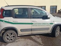 Gebraucht Fiat Panda 4x4 75 PS (55 kW) 2014 Weiß Kleinwagen