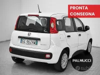 Usata Fiat Panda S 70 CV (51 kW) 2021 Bianco Utilitaria