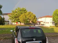 Usata Lancia Ypsilon 69 CV (50 kW) 2010 Nero Utilitaria