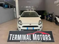 Usata Fiat Punto Lounge 75 CV (55 kW) 2013 Bianco Utilitaria