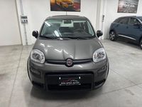Usata Fiat Panda Cross Cross 70 CV (51 kW) 2023 Grigio Utilitaria