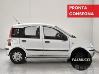 Usata Fiat Panda Easy 69 CV (50 kW) 2012 Grigio Utilitaria