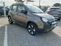 Usata Fiat Panda Cross Cross 69 CV (50 kW) 2021 Grigio Utilitaria
