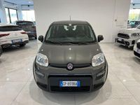Usata Fiat Panda S 69 CV (50 kW) 2023 Grigio Utilitaria