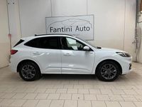 Usata Ford Kuga ST-Line X 120 CV (88 kW) 2023 Bianco SUV