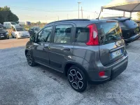 Käytetty Fiat Panda S 70 HP (51 kW) 2022 Viistoperä
