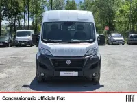 Usata Fiat Ducato 160 CV (117 kW) 2020 Bianco Furgone