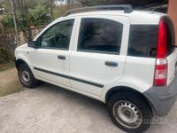 Usata Fiat Panda 4x4 69 CV (50 kW) 2005 Bianco Utilitaria