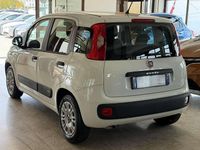 Usata Fiat Panda Easy 69 CV (50 kW) 2017 Rosso passione 078 Utilitaria