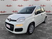Usata Fiat Panda 69 CV (50 kW) 2024 Bianco Utilitaria