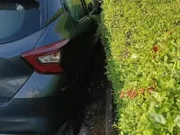 Usata Nissan Micra 90 CV (66 kW) 2017 Grigio Utilitaria
