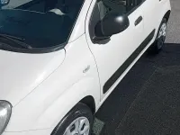 Usata Fiat Panda 70 CV (51 kW) 2014 Utilitaria