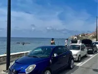 Usata Alfa Romeo MiTo Quadrifoglio Verde 170 CV (125 kW) 2011 Blu Utilitaria