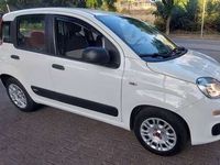 usata Fiat Panda 1.2 Easy 69cv