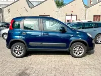 Usata Fiat Panda 4x4 S 95 CV (69 kW) 2018 Bluazzurro Utilitaria