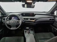 usata Lexus UX Hybrid Business del 2019 usata a Pordenone