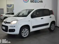 Usata Fiat Panda 4x4 Pop 84 CV (61 kW) 2019 Bianco Utilitaria