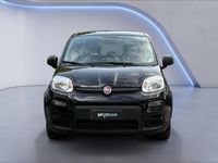 usata Fiat Panda III 2021 1.0 firefly hybrid City Life s and s 70cv