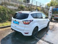 Usata Ford Kuga Business Edition 150 CV (110 kW) 2017 Bianco SUV