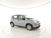 Usata Fiat Panda S 69 CV (50 kW) 2023 Grigio Utilitaria