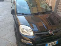 Usata Fiat Panda 4x4 75 CV (55 kW) 2014 Utilitaria