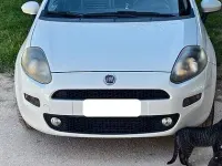 Usata Fiat Grande Punto 65 CV (47 kW) 2017 Bianco Utilitaria