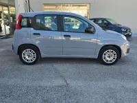 Usata Fiat Panda Easy 69 CV (50 kW) 2019 Grigio Utilitaria