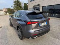 Usata Lexus NX300h Business Edition 155 CV (114 kW) 2019 Grigio SUV