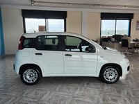 Usata Fiat Panda Easy 69 CV (50 kW) 2019 Bianco Utilitaria