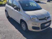 usata Fiat Panda 1.200 5 posti