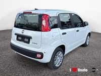 Nuova Fiat Panda Icon 70 CV (51 kW) 2025 Bianco Utilitaria