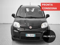 Usata Fiat Panda Cross Cross 69 CV (50 kW) 2022 Other Utilitaria
