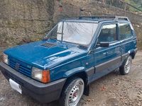 Usata Fiat Panda 4x4 1993 Blu Utilitaria
