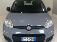 Usata Fiat Panda Easy 69 CV (50 kW) 2020 Grigio Utilitaria